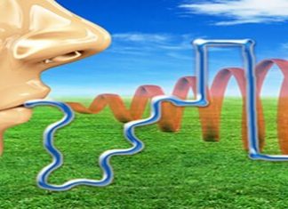 Kekemelik ve Konuşma Terapisi