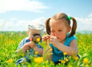 Diyabetik Retinopati Diyabetik Retinopati