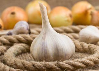 Sarımsağın Faydaları Sarımsağın Faydaları