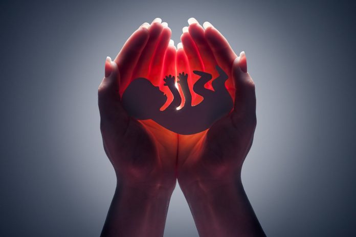 Embriyo Dondurma Embriyo Dondurma