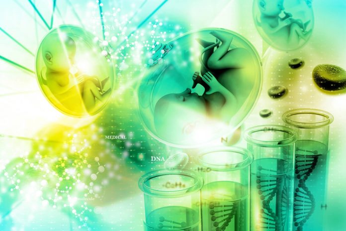 Preimplantasyon Genetiği - Embriyo Genetik Testleri Preimplantasyon Genetiği - Embriyo Genetik Testleri