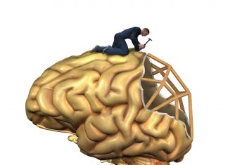 Beyin Hasarı İyileşir mi? Beyin Hasarı İyileşir mi