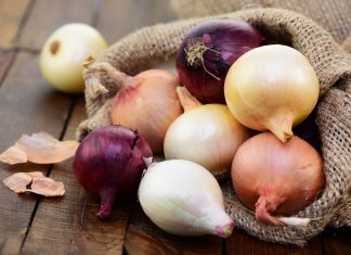 Soğan Doğal Antibiyotik Görevi Görüyor Soğan Doğal Antibiyotik Görevi Görüyor