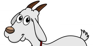 Keçi Sütü Bebekler İçin Uygun mu? Keçi Sütü