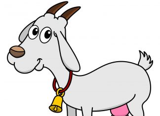 Keçi Sütü Bebekler İçin Uygun mu? Keçi Sütü