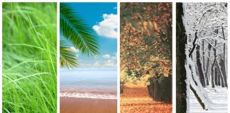 Mevsim Değişiklikleri ve İnsan mevsim değişiklikleri ve insan