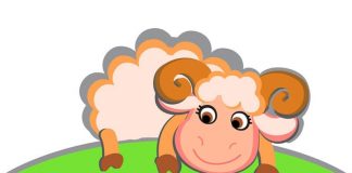 Kurban Bayramında Beslenme