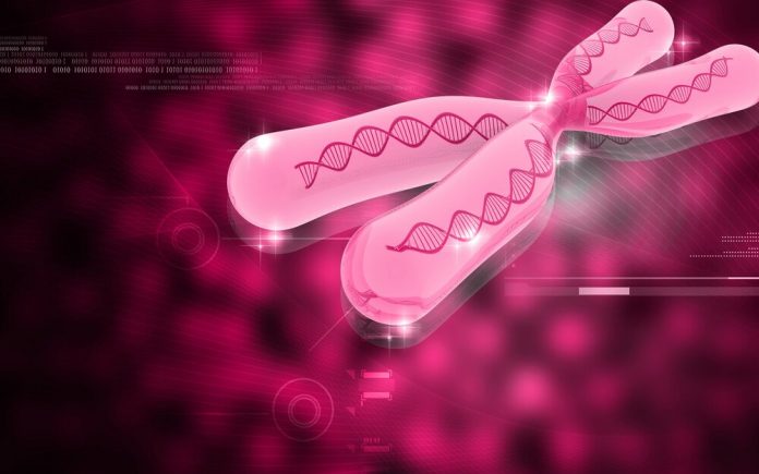 16-06-2015-234646kromozom Kromozom nedir