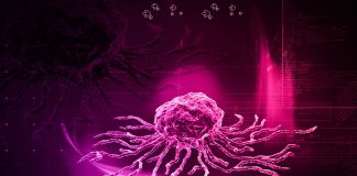 Kök Hücre Kök Hücre Tedavileri