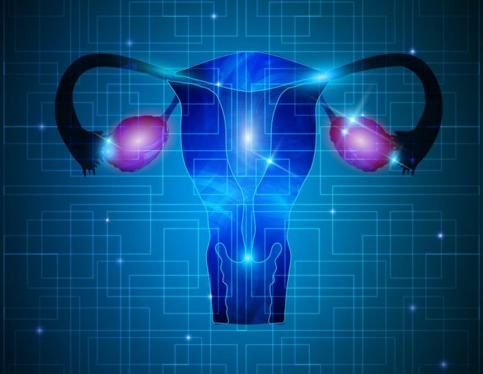 Yumurta Sayım Az Yumurta Sayım Az