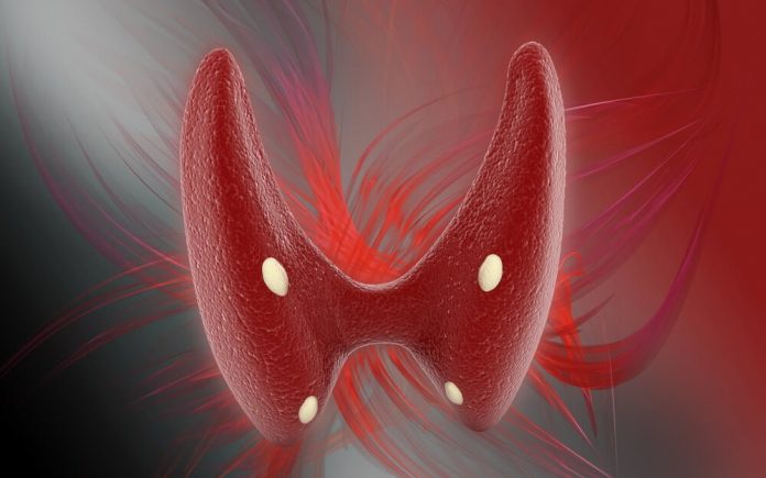 Bazı Endokrin Hastalıklar Bazı Endokrin Hastalıklar