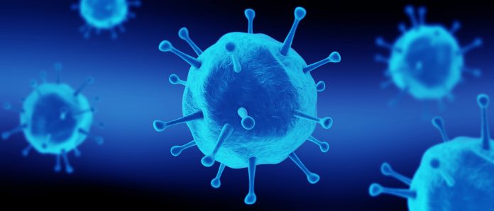 Bağışıklık Sistemi Bağışıklık Sistemi