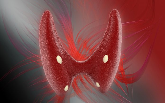 Hipotiroidi Teşhisi Nasıl Yapılır Hipotiroidi Teşhisi Nasıl Yapılır