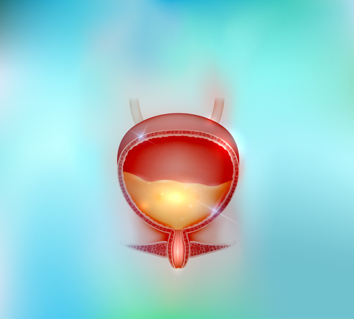 Çocuklarda idrar Yolu Enfeksiyonu Belirtileri Çocuklarda İdrar Yolu Enfeksiyonu Belirtileri