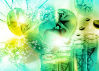 Çocuğu Olmayanlar Ne Zaman Araştırılmalı? Çocuğu Olmayanlar Ne Zaman Araştırılmalı