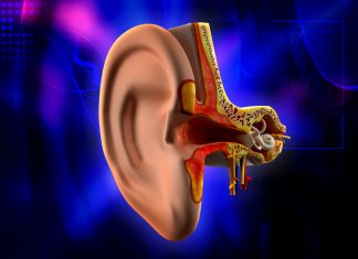 İşitme Kaybı İçin Risk Faktörleri İşitme Kaybı İçin Risk Faktörleri