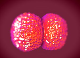 Meningokok Menenjit Aşıları Meningokok Menenjit Aşıları