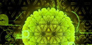 Coronavirüs Pandemisinde Umutlar Tükenmesin Coronavirüs Pandemisinde Umutlar Tükenmesin