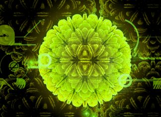 Coronavirüsü Aşıları Coronavirüsü Aşıları