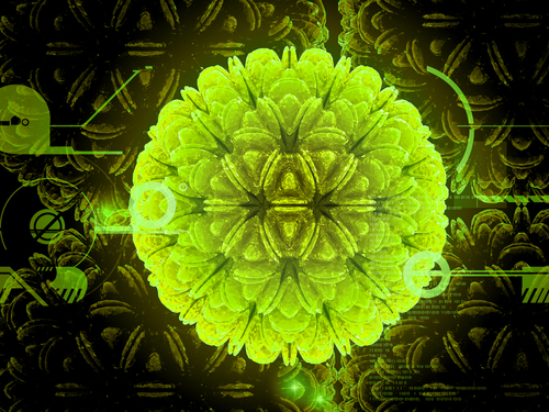 Coronavirüsü Aşıları Coronavirüsü Aşıları