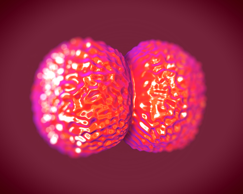 Menenjit Aşısı - Meningokok Aşısı Gerekli mi Menenjit Aşısı - Meningokok Aşısı Gerekli mi