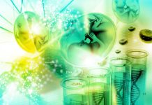 Tüp Bebek Tedavisinde Cinsiyet Belirlenebiliyor mu? Tüp Bebek Tedavisinde Cinsiyet Belirlenebiliyor mu