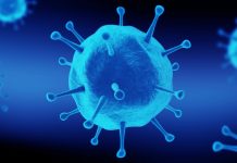 Koronavirüsü – Bağışıklık Sistemimizi Güçlendirelim Koronavirüsü - Bağışıklık Sistemimizi Güçlendirelim