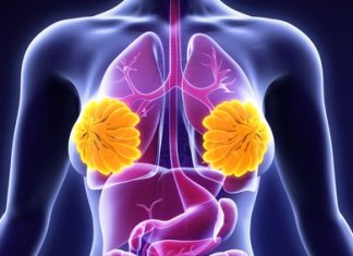 Meme Estetiği Meme Estetiği