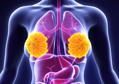 Meme Estetiği Meme Estetiği