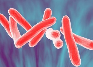 Tüberküloz (Verem) Tedavisinde Yenilikler Tüberküloz (Verem) Tedavisinde Yenilikler