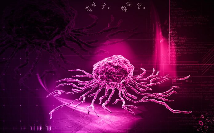 Lösemi Tedavisinde Kordon Kanı Nakli