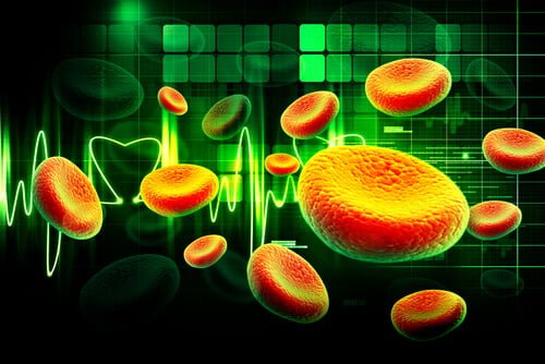Demir Eksikliğinin Önlenmesi Demir Eksikliğinin Önlenmesi