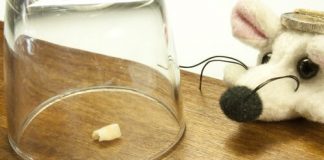 Süt Dişlerinin Tedavisi