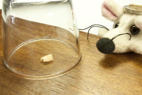 Süt Dişlerinin Değişmesi Süt Dişlerinin Değişmesi