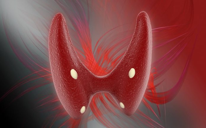 Hormonlarımız ve Endokrin Sistem Hormonlarımız ve Endokrin Sistem