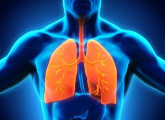 Astım Tetikleyicileri Nelerdir? Astım Tetikleyicileri Nelerdir