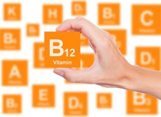 Vitamin B12 Hangi Besinlerde Vardır? Vitamin B12 Hangi Besinlerde Vardır?