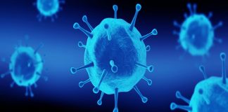 Çocuklarda Güçlü Bir Bağışıklık Sistemi İçin Öneriler