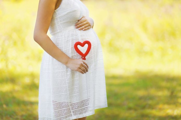 Pregnancy, maternity, family - concept, pregnant woman and heart