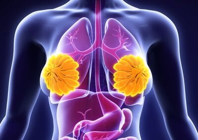 Annedeki Meme Sorunları Annedeki Meme Sorunları