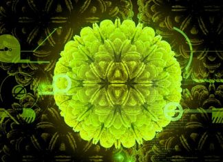 Rahim Ağzı Kanseri Aşısı (HPV) Rahim Ağzı Kanseri Aşısı (HPV)