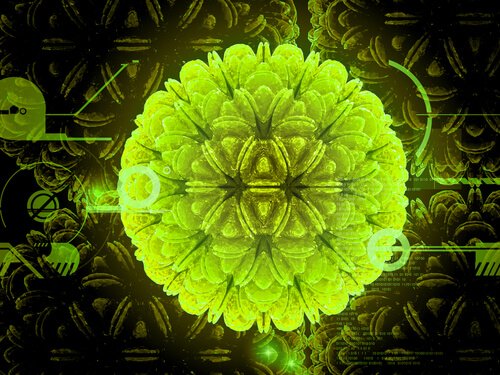 Rahim Ağzı Kanseri Aşısı (HPV) Rahim Ağzı Kanseri Aşısı (HPV)