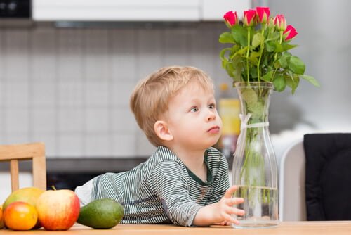 Sosyalleşme-Okul Öncesi Yasaklar Sosyalleşme-Okul Öncesi Yasaklar