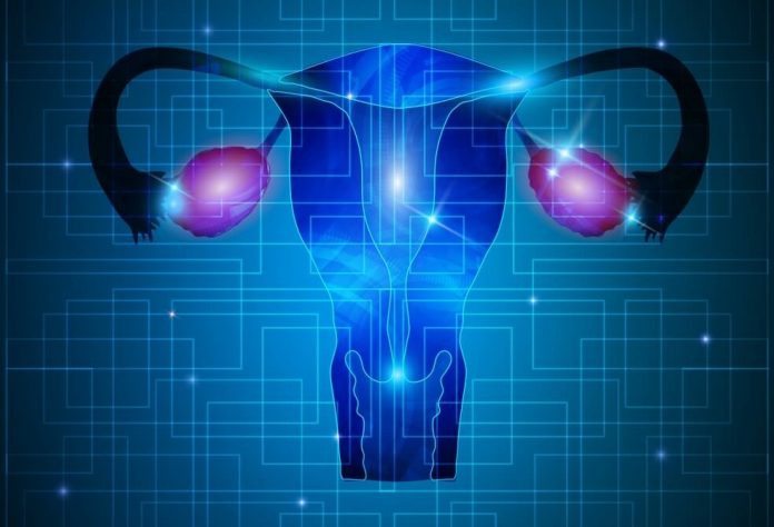 26-11-2015-022803yumurta-over-tup-tamiri